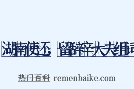 湖南使还，留辞辛大夫组词是什么意思的图片